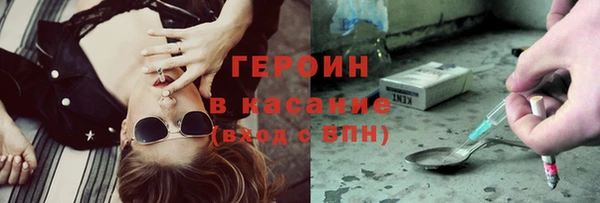 прущие грибы Горняк