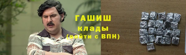 прущие грибы Горняк
