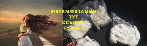 прущие грибы Горняк
