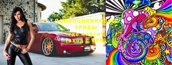 кристаллы Гусь-Хрустальный